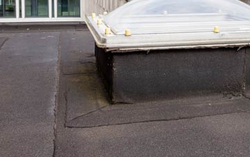 disadvantages of East Lyng flat roofs