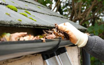 gutter cleaning East Lyng, Somerset